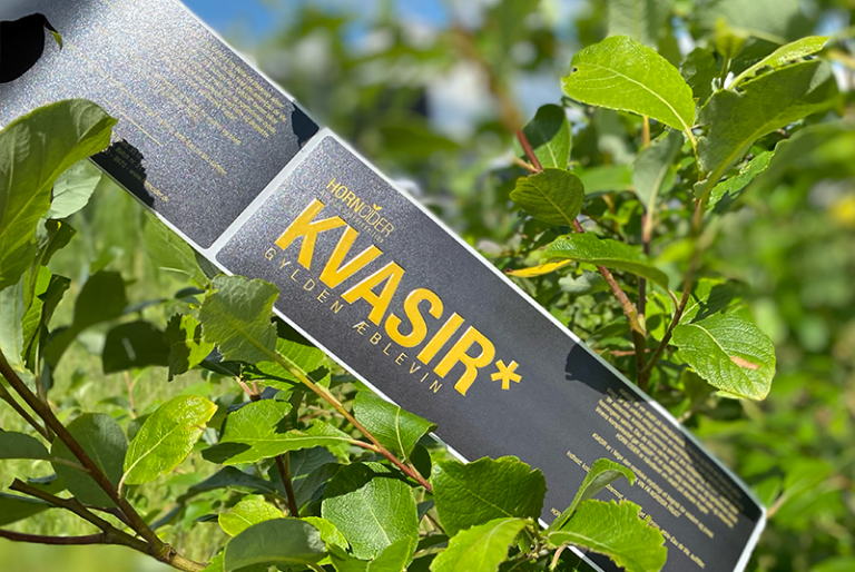 kvasir*